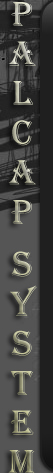 PalCap System