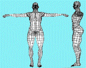 Biotipo Ginoide