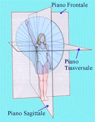 Piani Anatomici